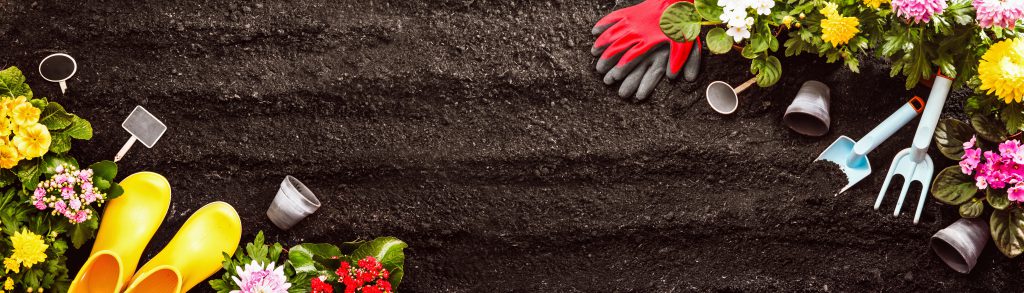 Gardening tools and gloves on soil