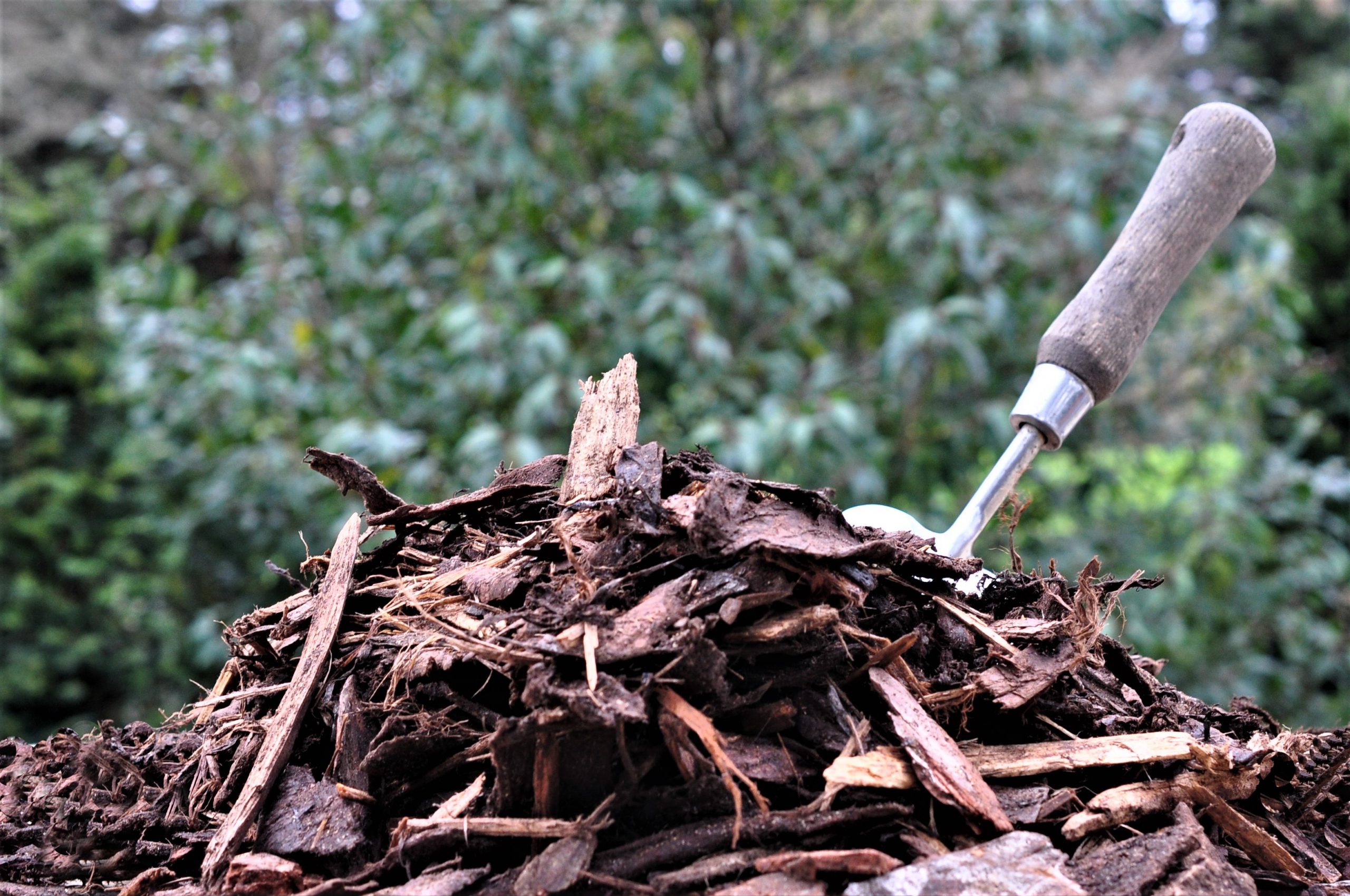 Moorhouse mix with gardening tool