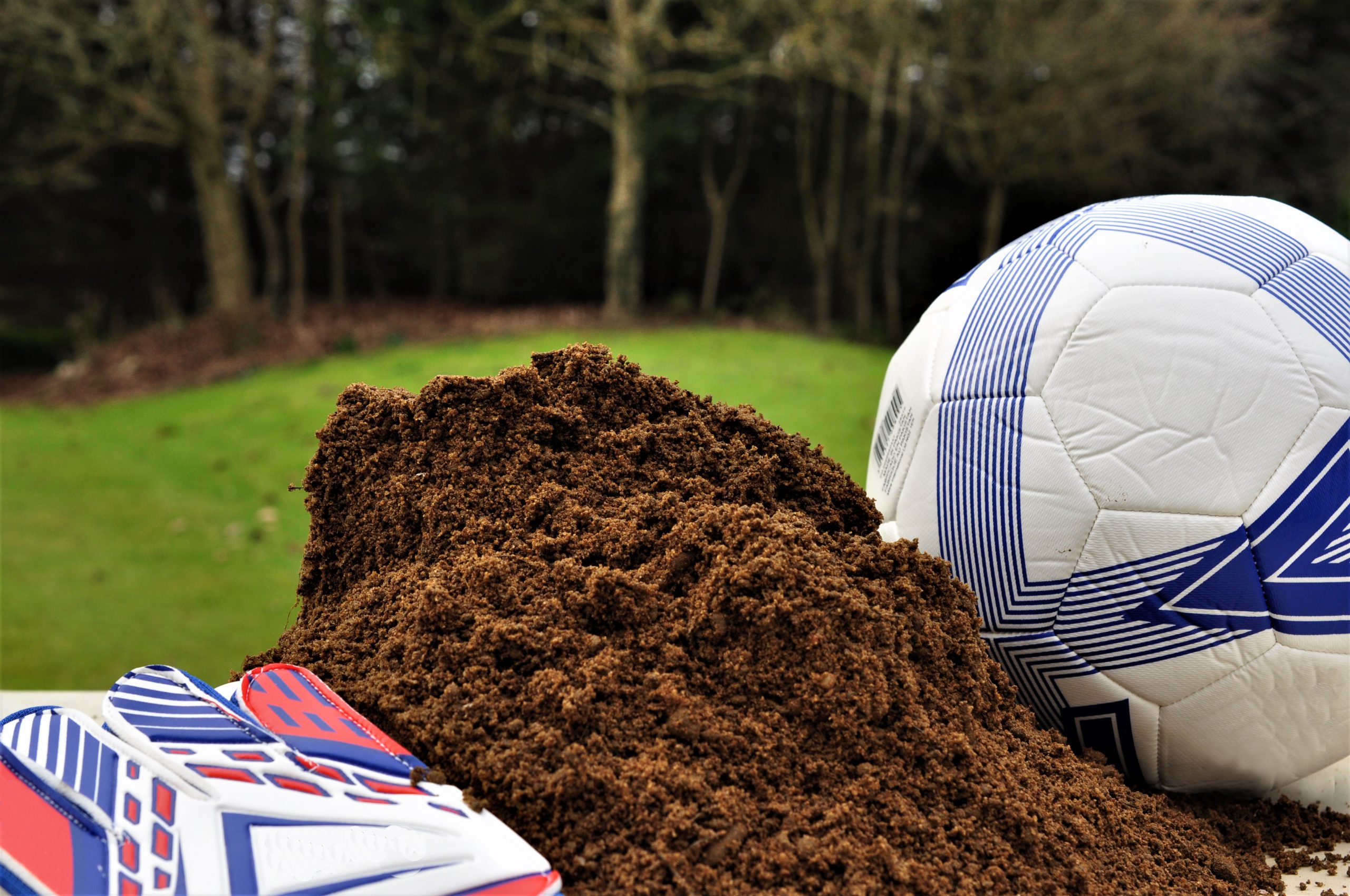 Roozone between football and gloves on floor