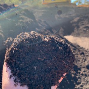 Compost held by hand