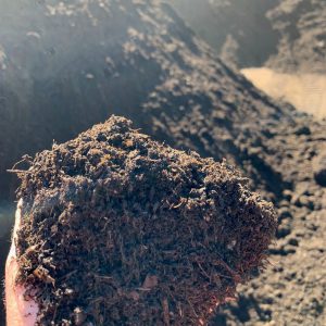 Compost held by hand