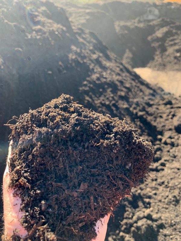 Compost held by hand
