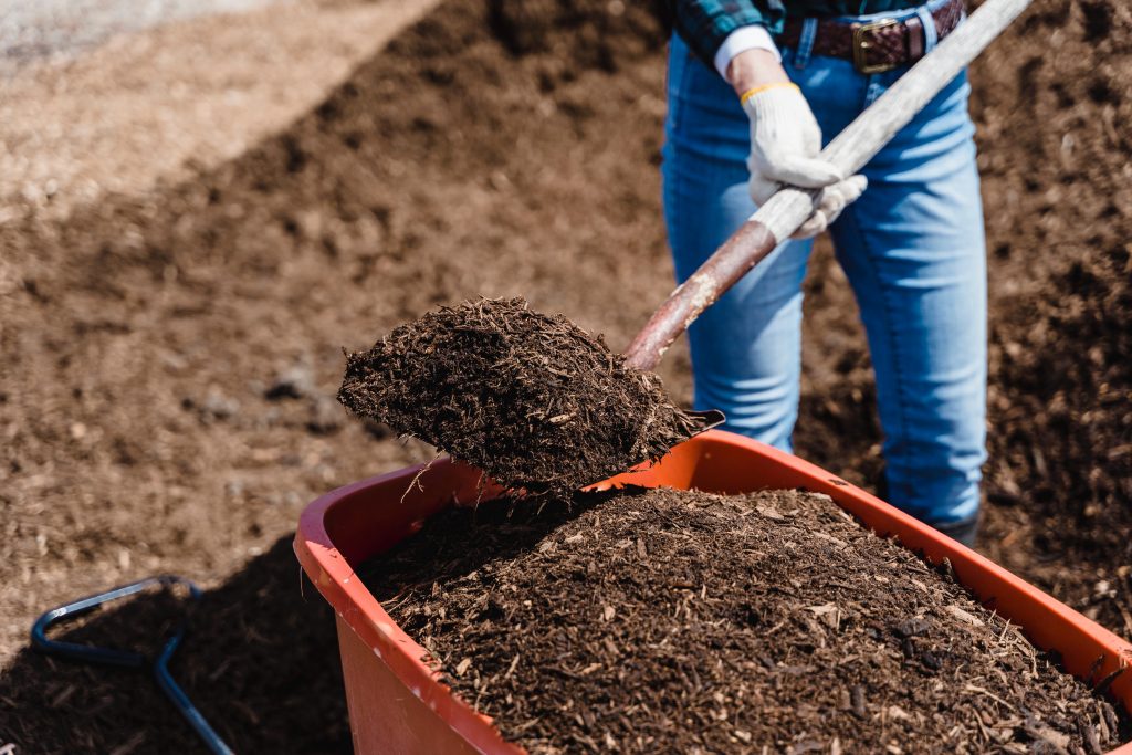 shoveling compost