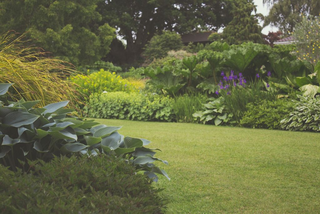 close up of garden