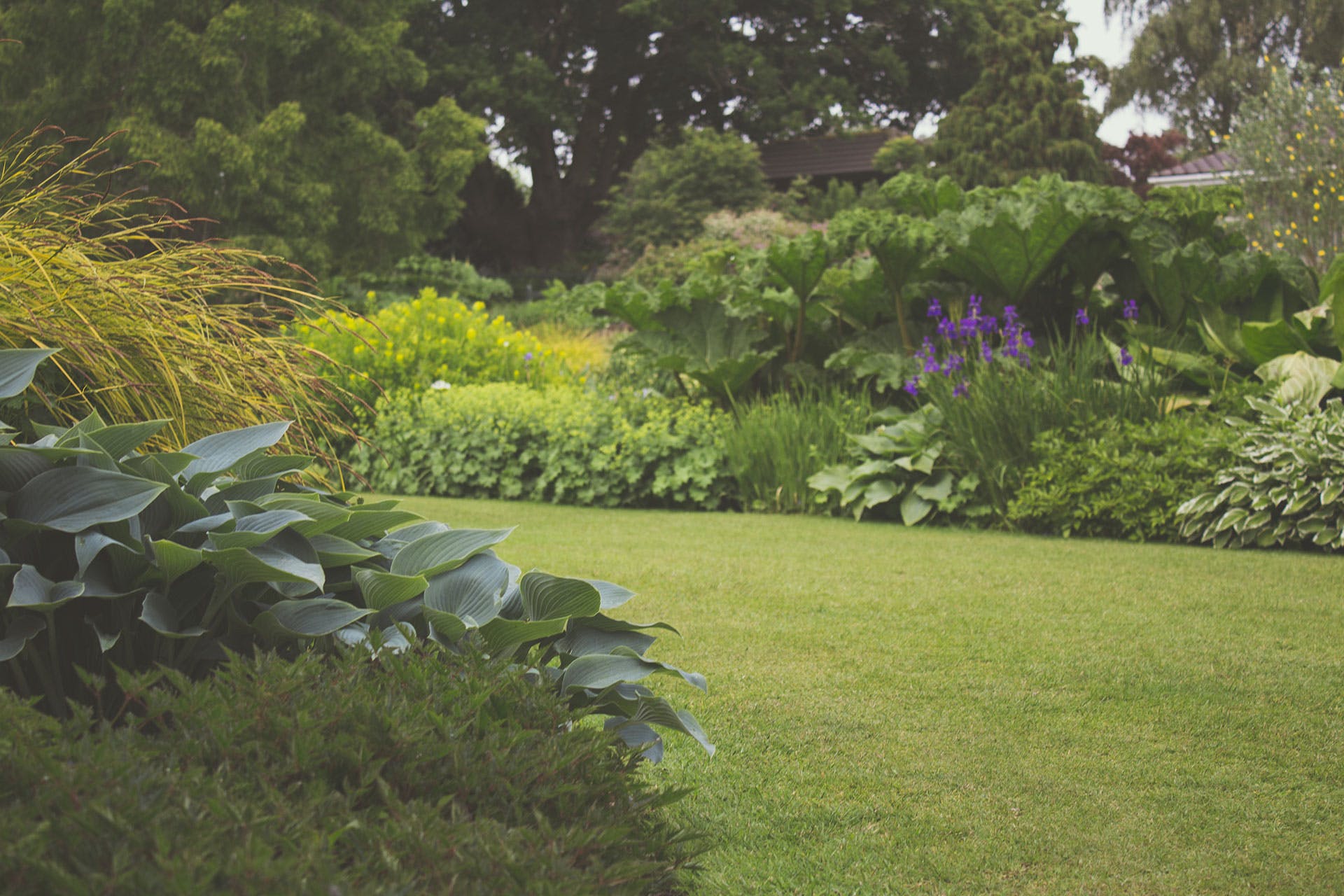 close up of garden