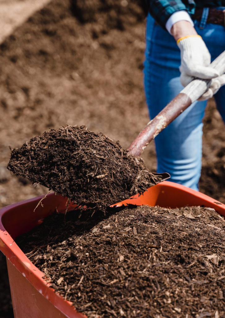 Compost in Reigate