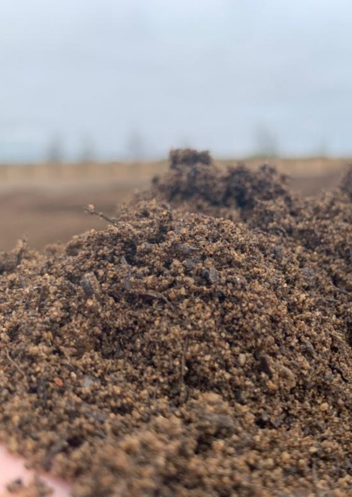 Soil in Reigate